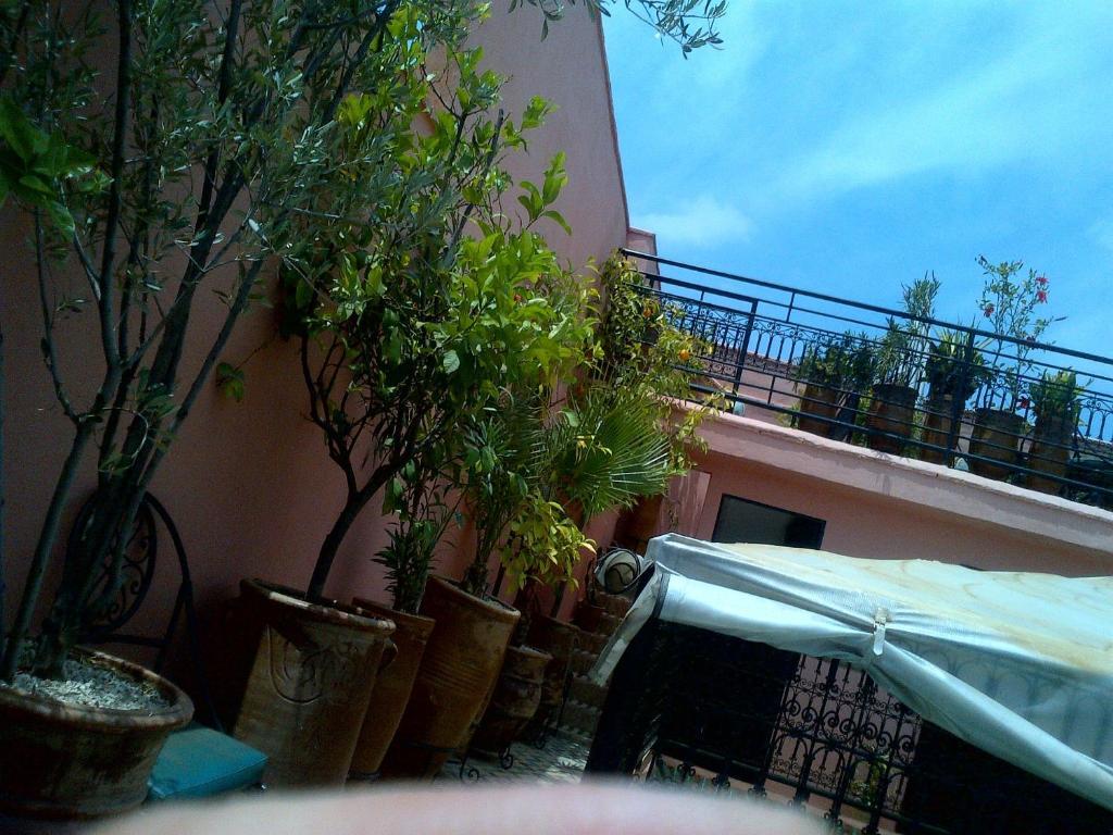 Riad Lila Marrakesh Bagian luar foto